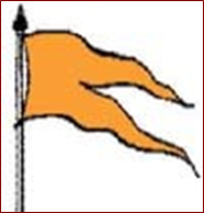 SAFFRON FLAG